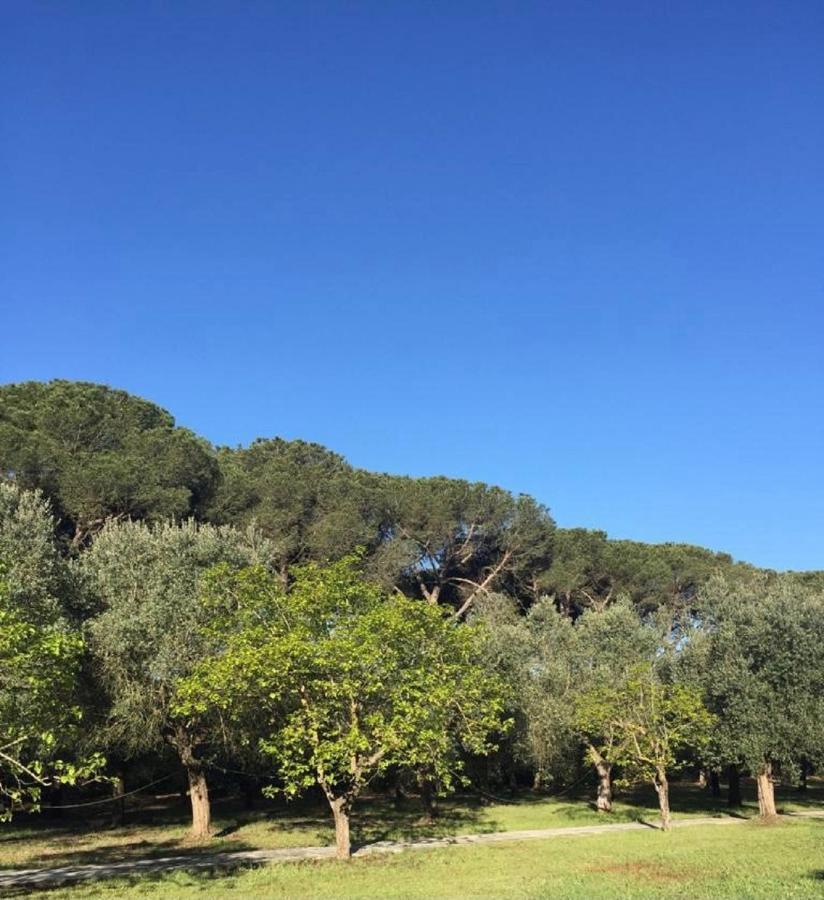 Villa Di Noi Arnesano Exterior foto